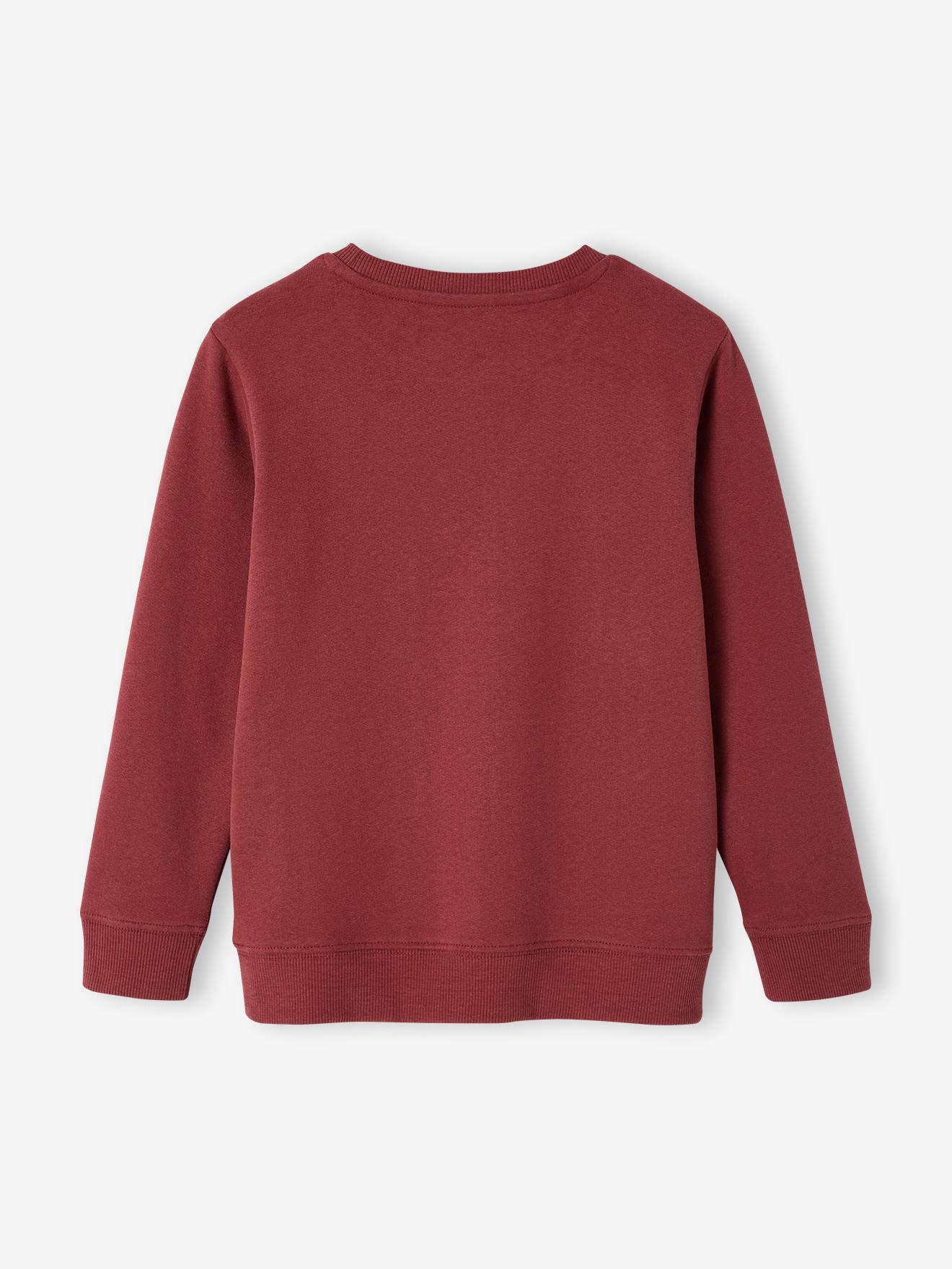 https://kids-avenue.com.ua/pages/gallery/6525/sweat-basics-motifs-graphiques-garcon (8).jpg